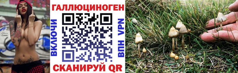 Галлюциногенные грибы GOLDEN TEACHER мега как войти Керчь